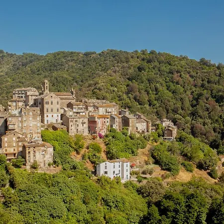 Casa Crucicchia *